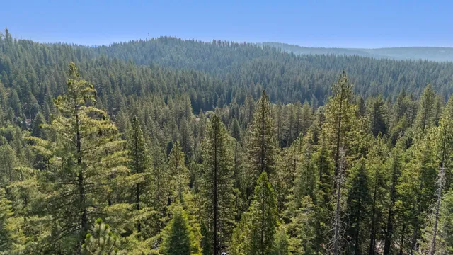 a view of mountain and trees