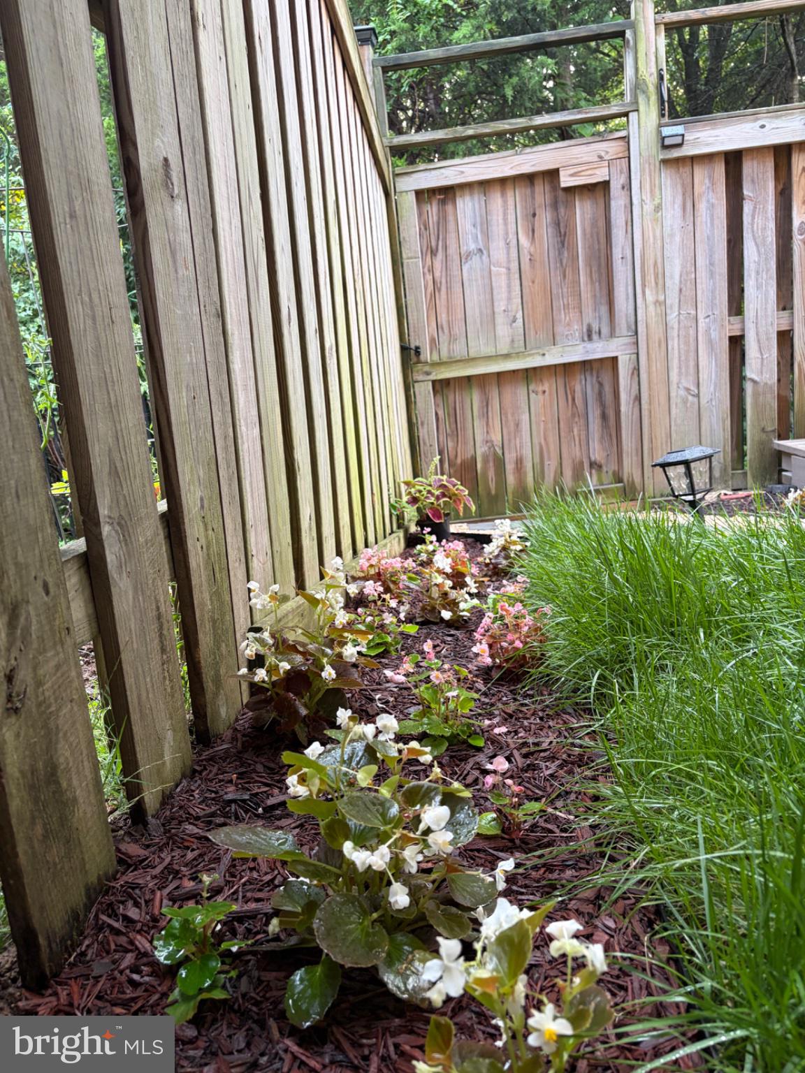 25333 Wakestone Terrace Chantilly, VA 20152 - Photo 93 of 109 Charming garden path with blooms.