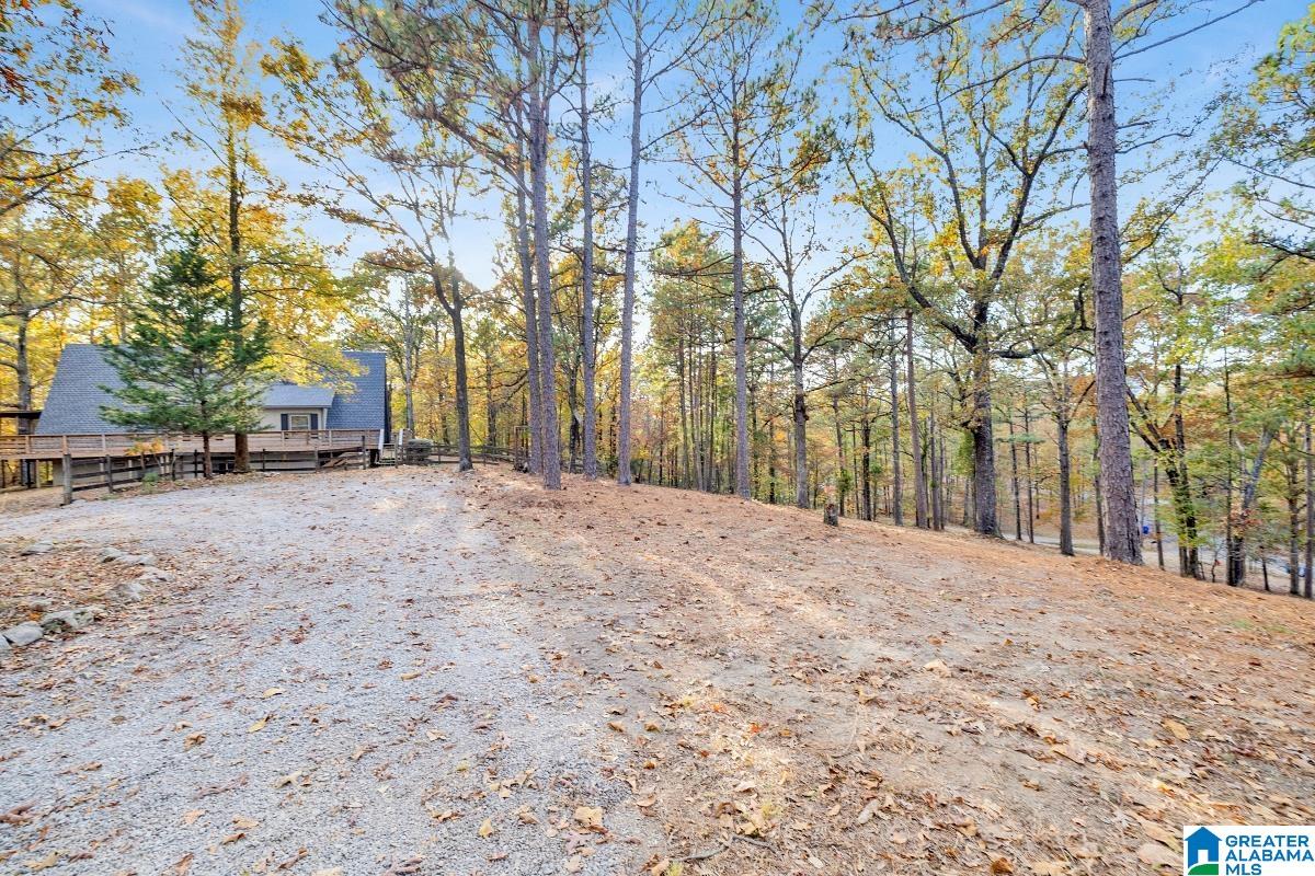 621 Hodgens Road Chelsea, AL 35043 - Photo 47 of 59 Gallery Image 47