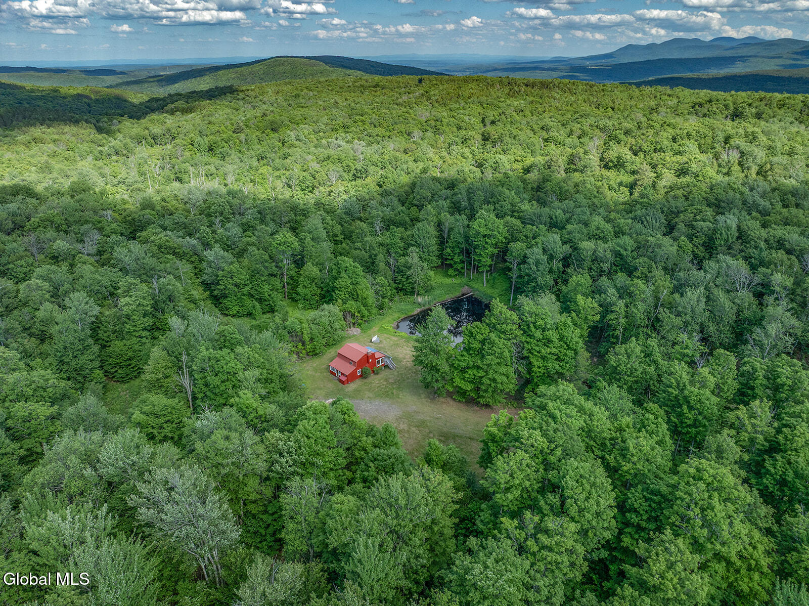 269 Federal City Road Broome, NY 12469 - Photo 8 of 43 DJI_0778-Edit