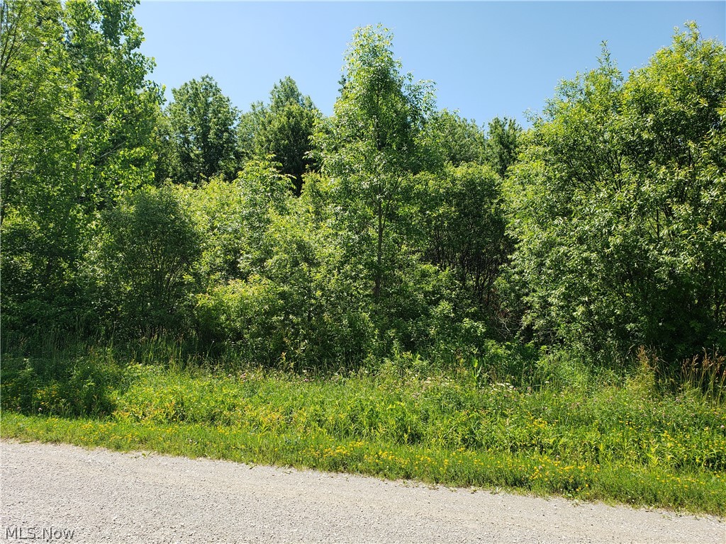 6332-vl Laskey Road Rome, OH 44085 - Photo 4 of 4