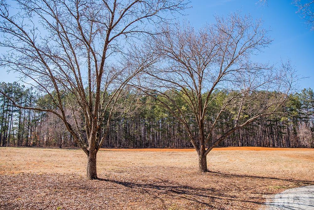 433 Noah Davis Road Roxboro, NC 27574 - Photo 92 of 95 a view of yard covered with snow in front of house