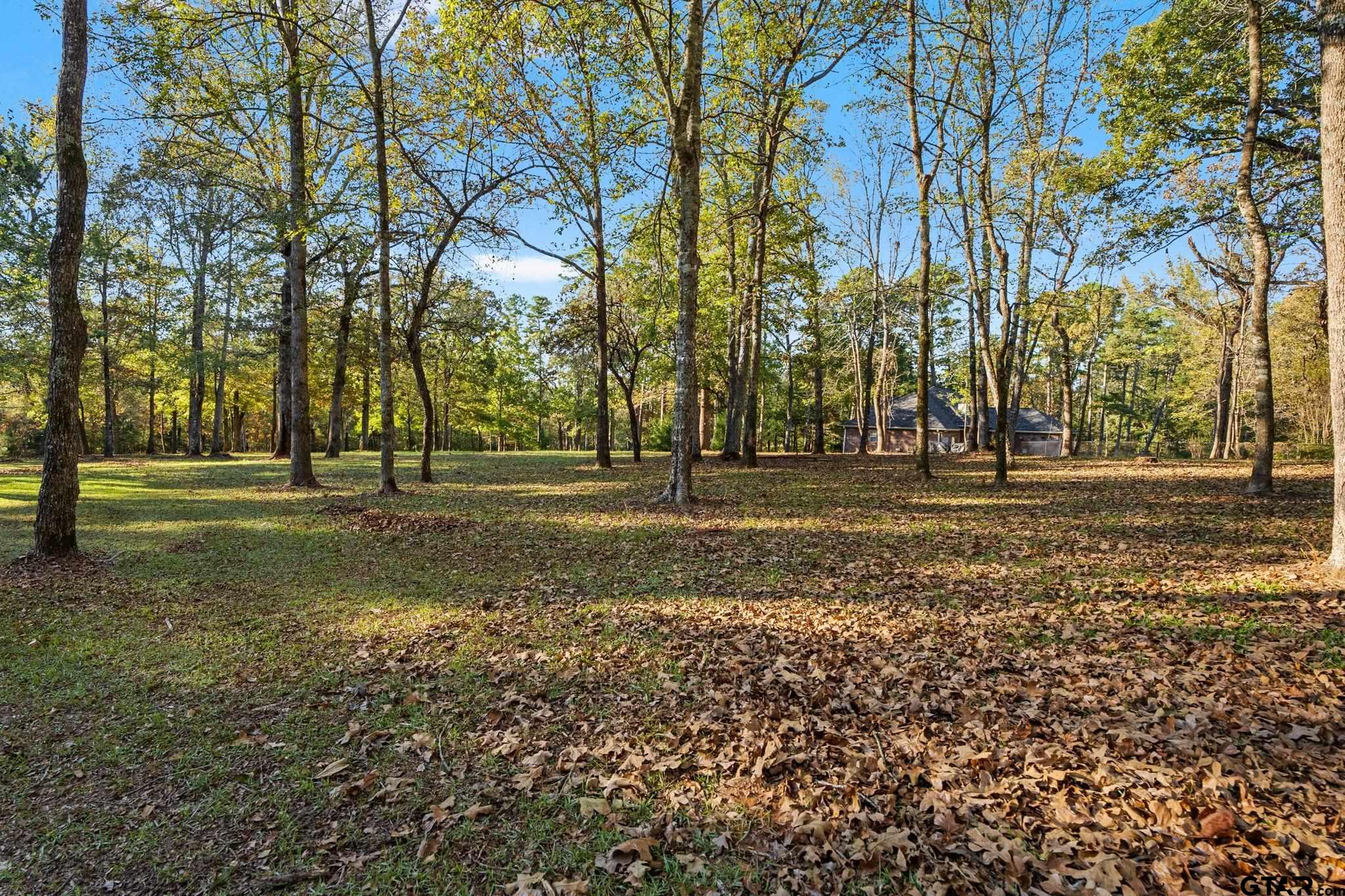 14417 East Ridge Road Arp, TX 75750 - Photo 33 of 47 a view of a volley ball court