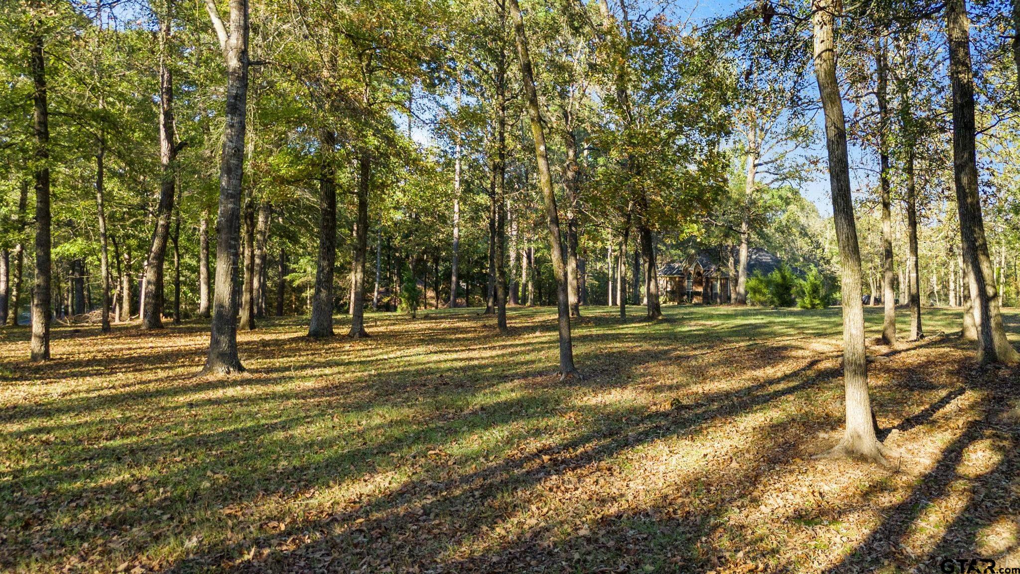 14417 East Ridge Road Arp, TX 75750 - Photo 35 of 47 a view of yard with trees