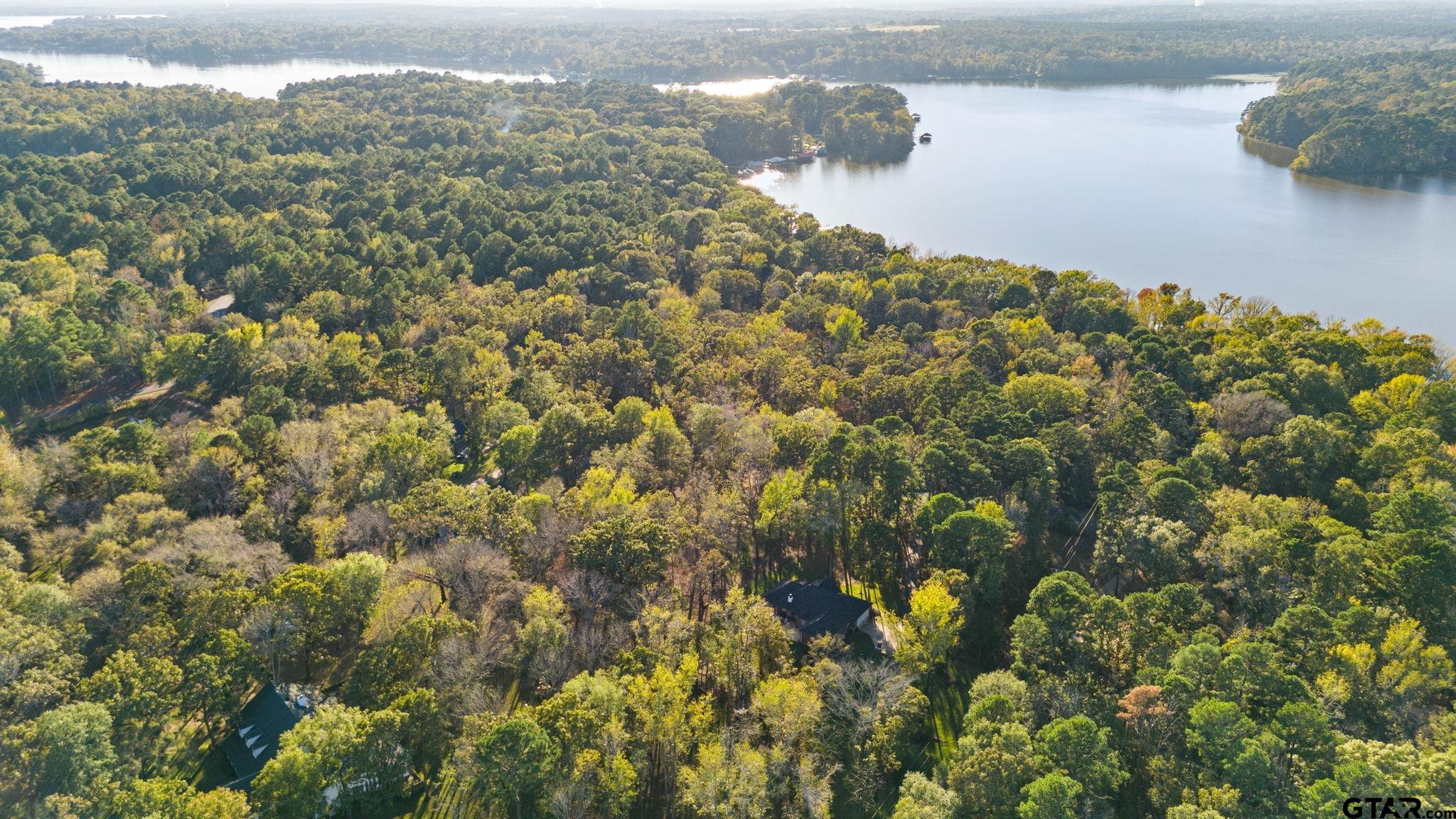 14417 East Ridge Road Arp, TX 75750 - Photo 39 of 47 a view of a lake