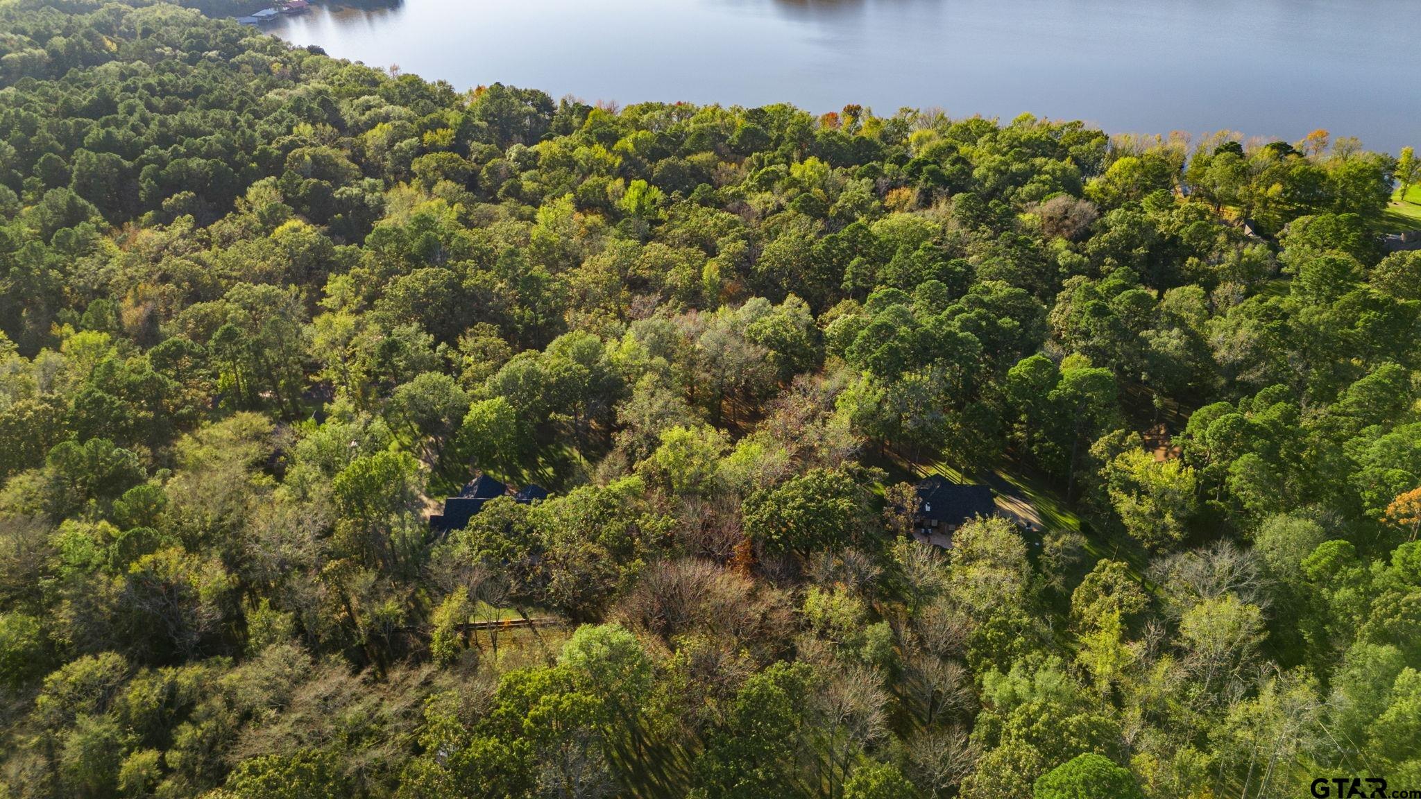 14417 East Ridge Road Arp, TX 75750 - Photo 41 of 47 a view of a bunch of trees