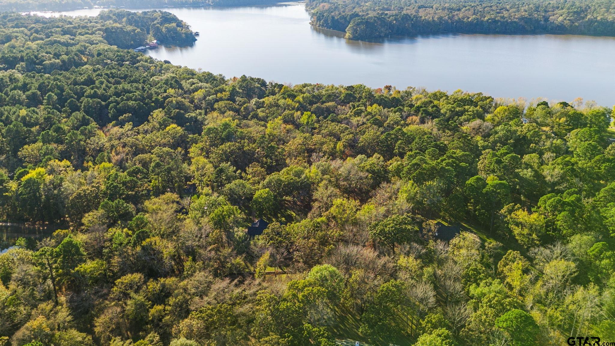 14417 East Ridge Road Arp, TX 75750 - Photo 42 of 47 a view of a lake with a park