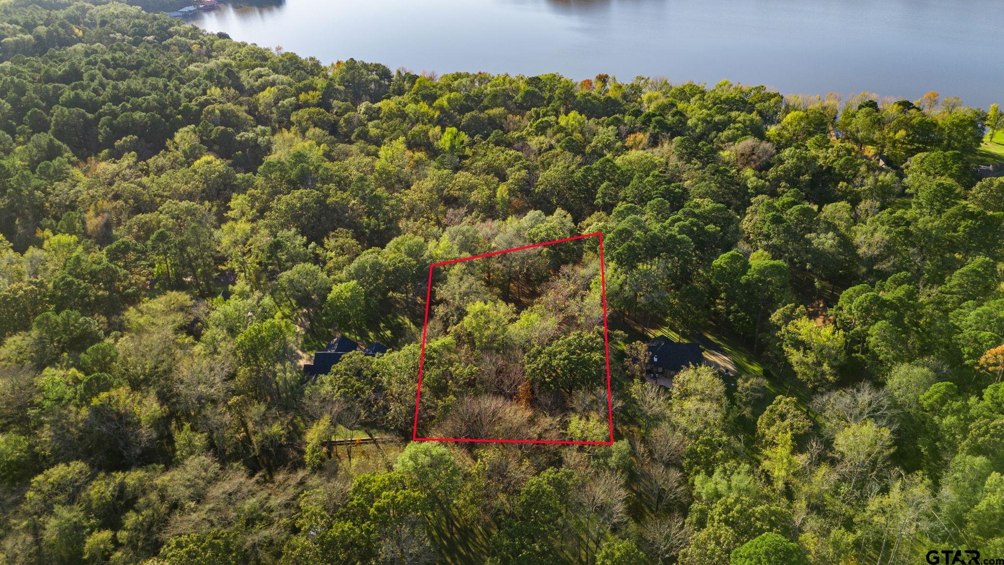 14417 East Ridge Road Arp, TX 75750 - Photo 43 of 47 a view of a bunch of trees