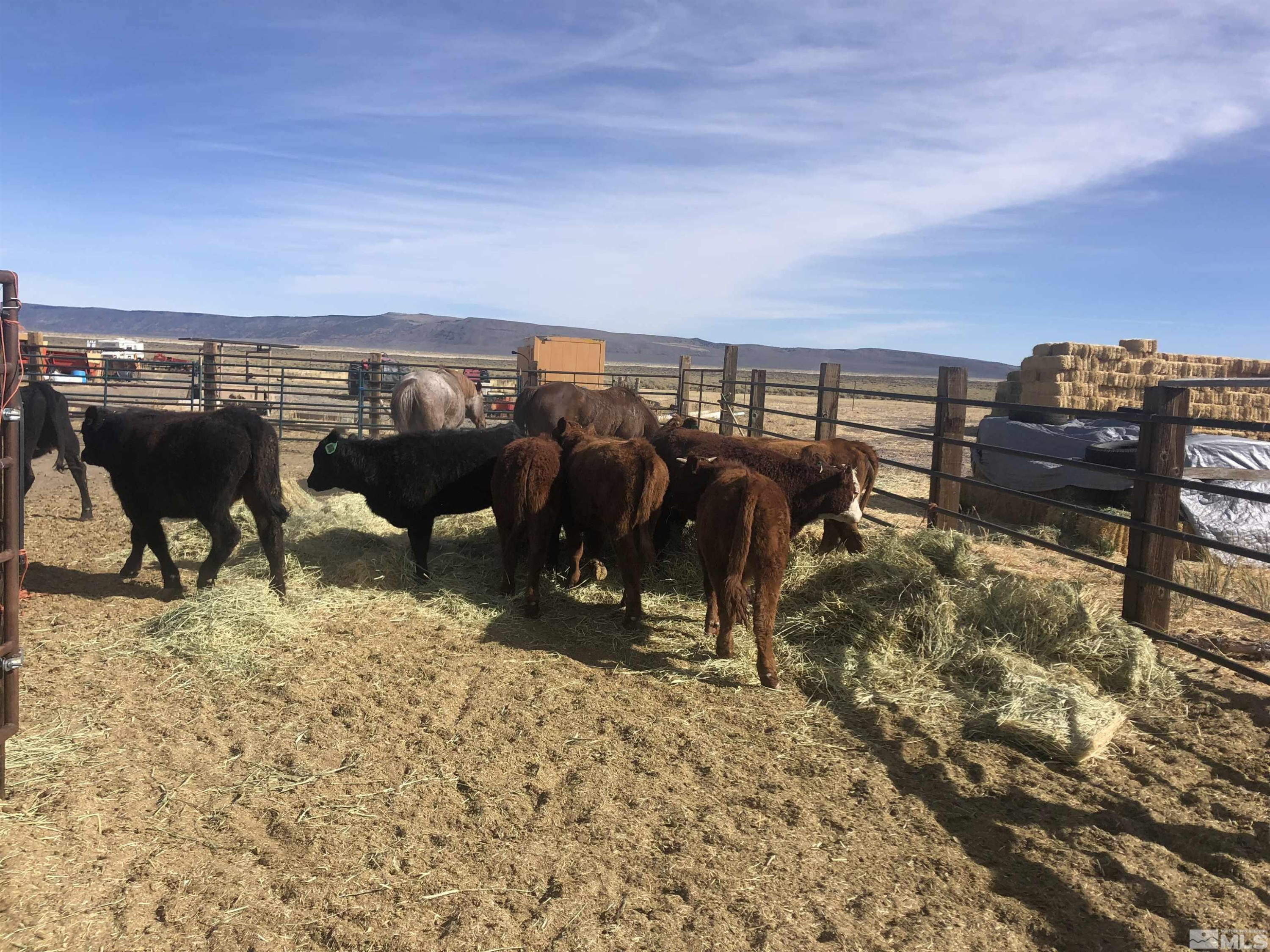 11069 Mosquito Road Gerlach, NV 89412 - Photo 8 of 21 Photo 8