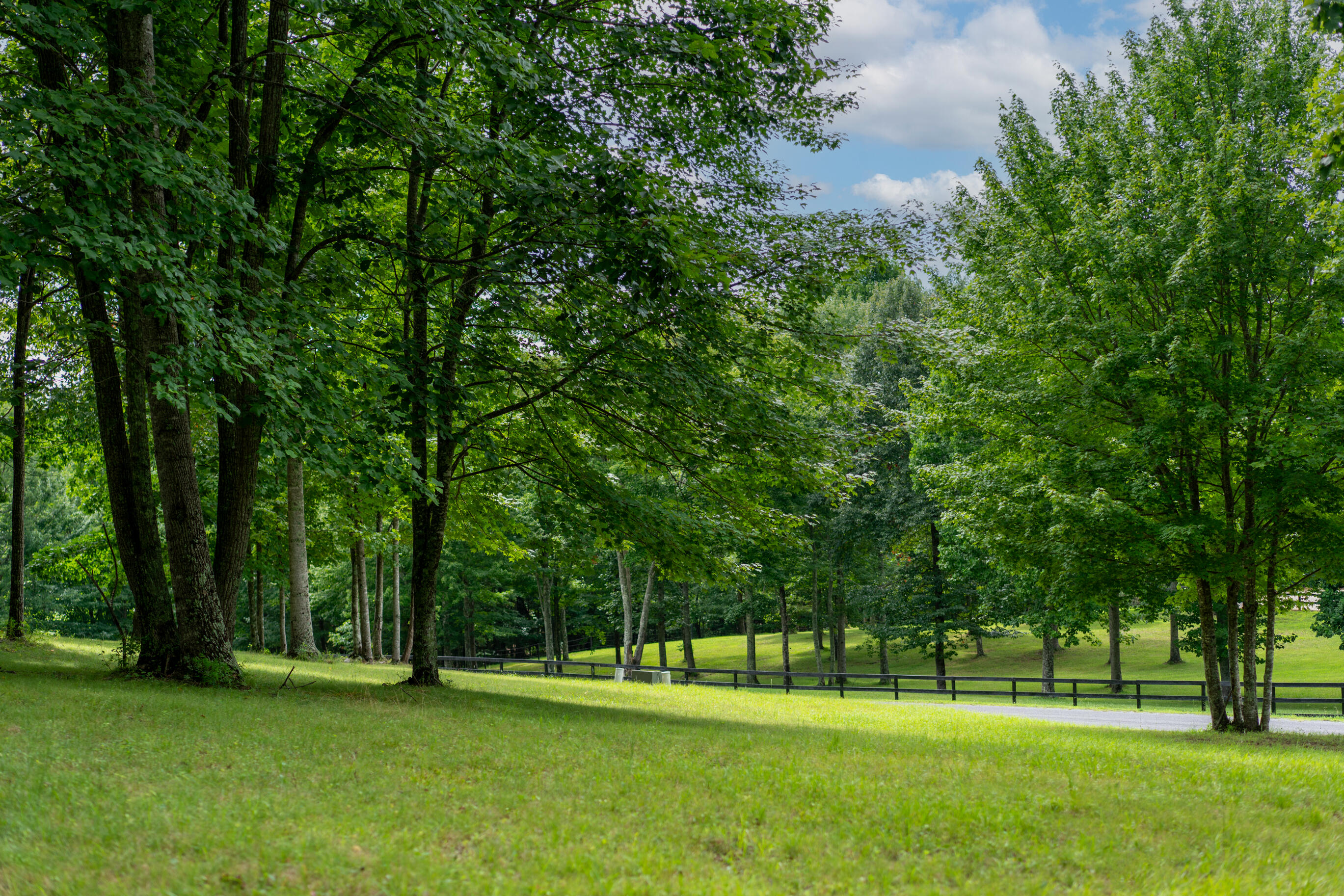 243 Roaring Creek Road Dunlap, TN 37327 - Photo 3 of 27 _DSC2460-Edit