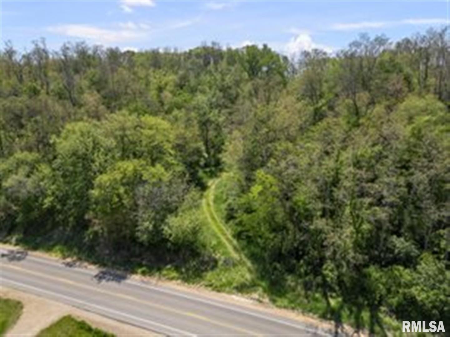 0 Bluff Road Princeton, IA 52768 - Photo 11 of 11