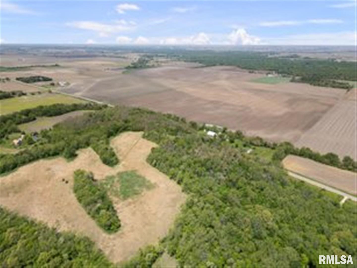 0 Bluff Road Princeton, IA 52768 - Photo 6 of 11