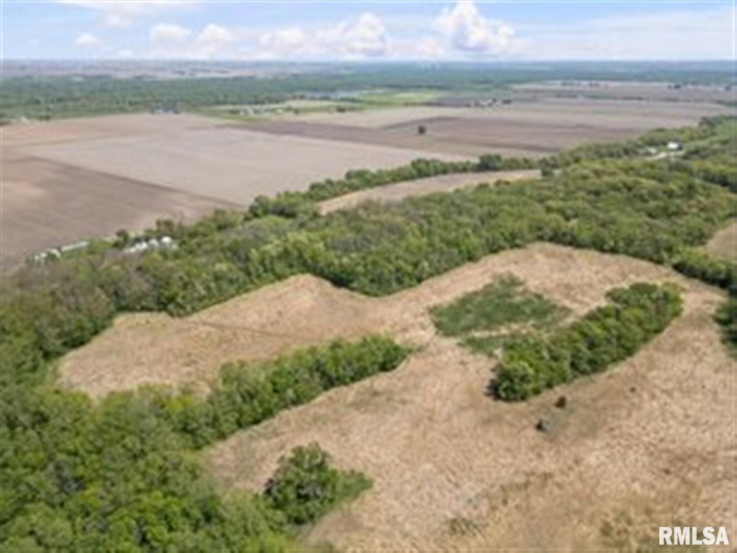 0 Bluff Road Princeton, IA 52768 - Photo 7 of 11