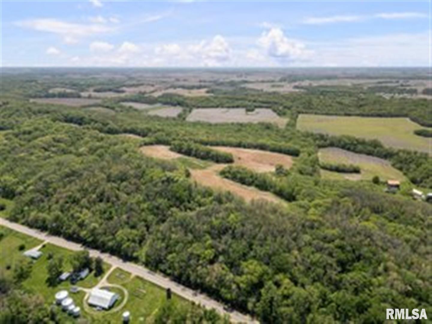 0 Bluff Road Princeton, IA 52768 - Photo 8 of 11