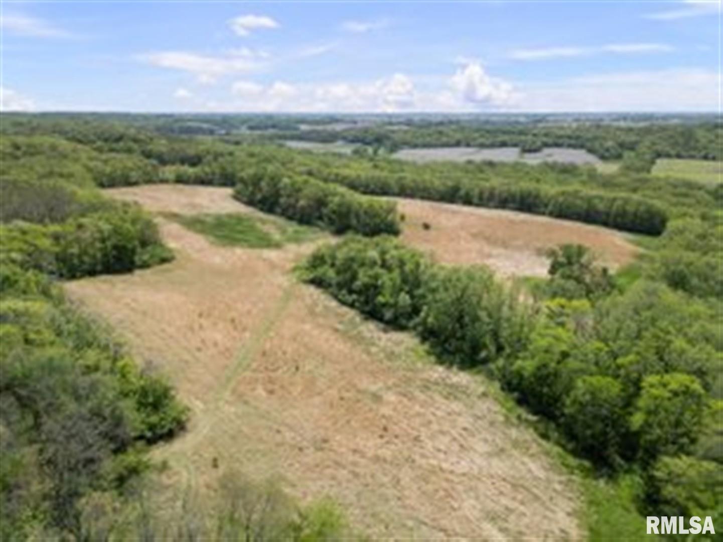 0 Bluff Road Princeton, IA 52768 - Photo 10 of 11