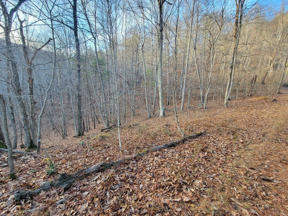 38-a-3 Clito Road, Unit 3 Fries, VA 24330 - Photo 13 of 26 Gallery Image 13