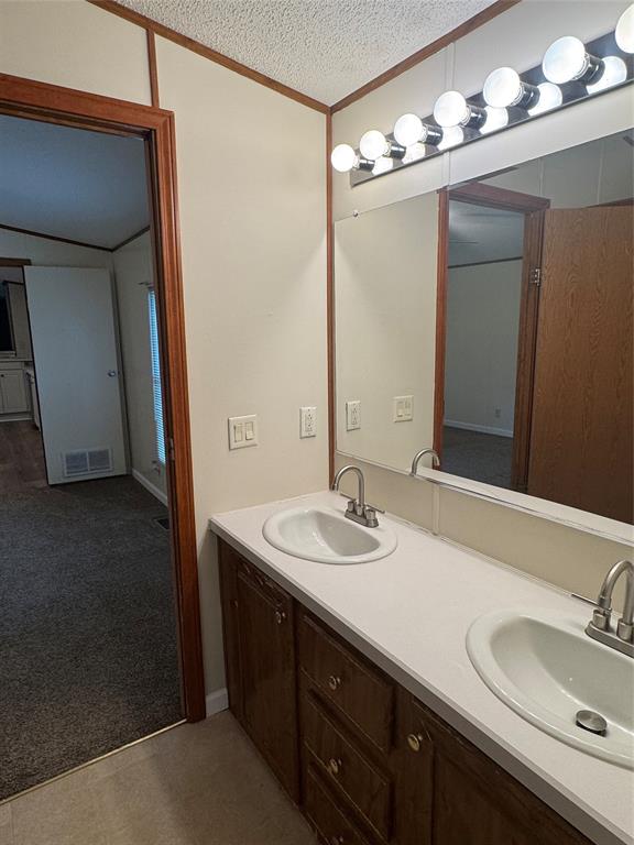 243 Springs Road Frierson, LA 71027 - Photo 14 of 23 a bathroom with a sink and a mirror