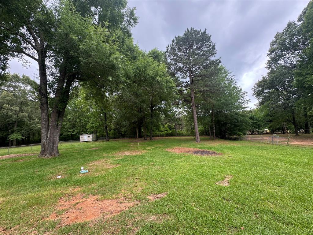 243 Springs Road Frierson, LA 71027 - Photo 22 of 23 a view of a trees in a yard