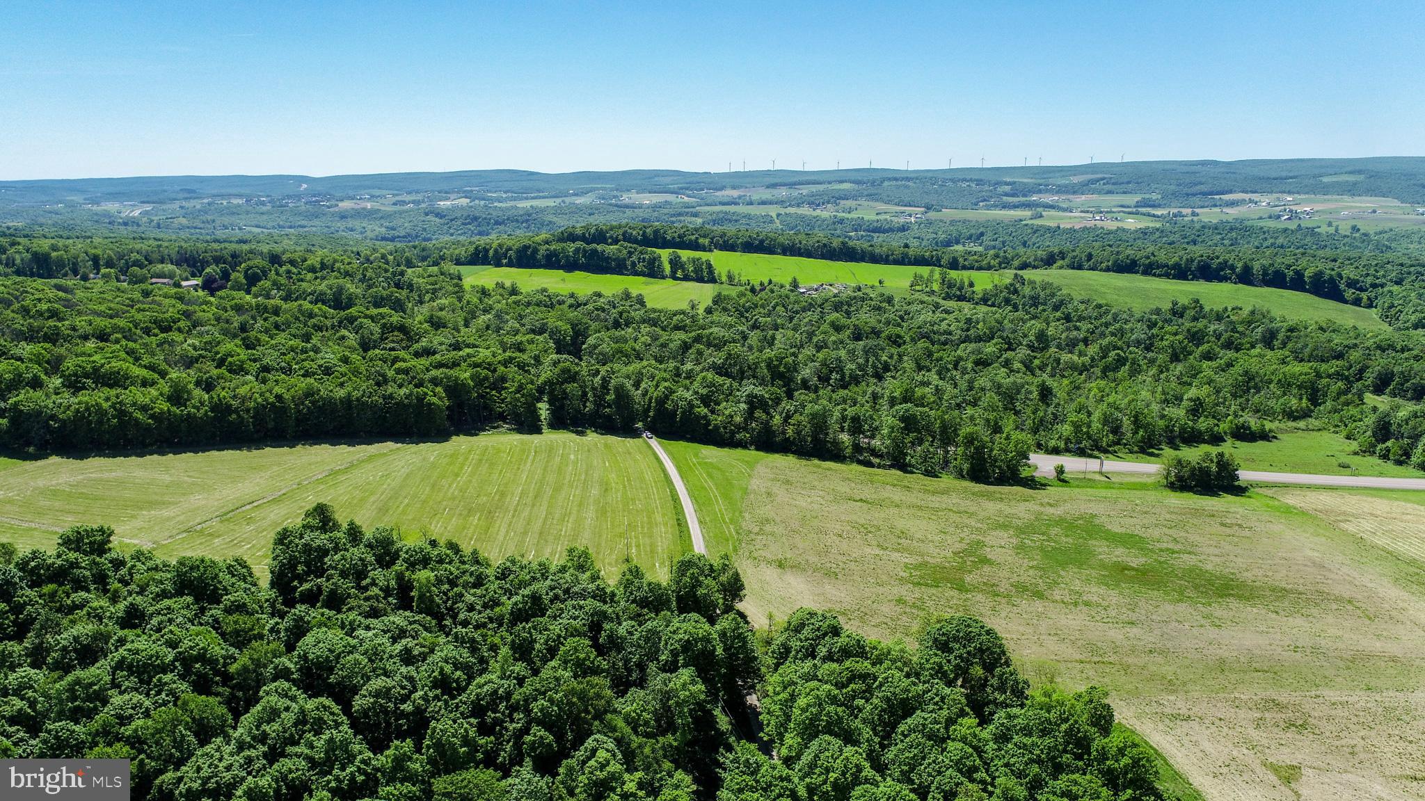 5-acres Chestnut Ridge Road Grantsville, MD 21536 - Photo 4 of 16