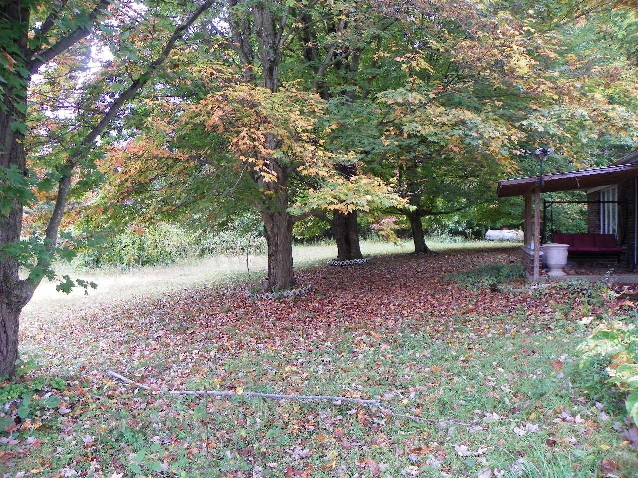 6706 East Access Road Batesville, IN 47006 - Photo 4 of 4