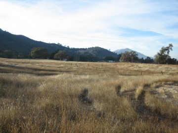 29473 Fallen Oak Road Tollhouse, CA 93667 - Photo 6 of 12 Gallery Image 6