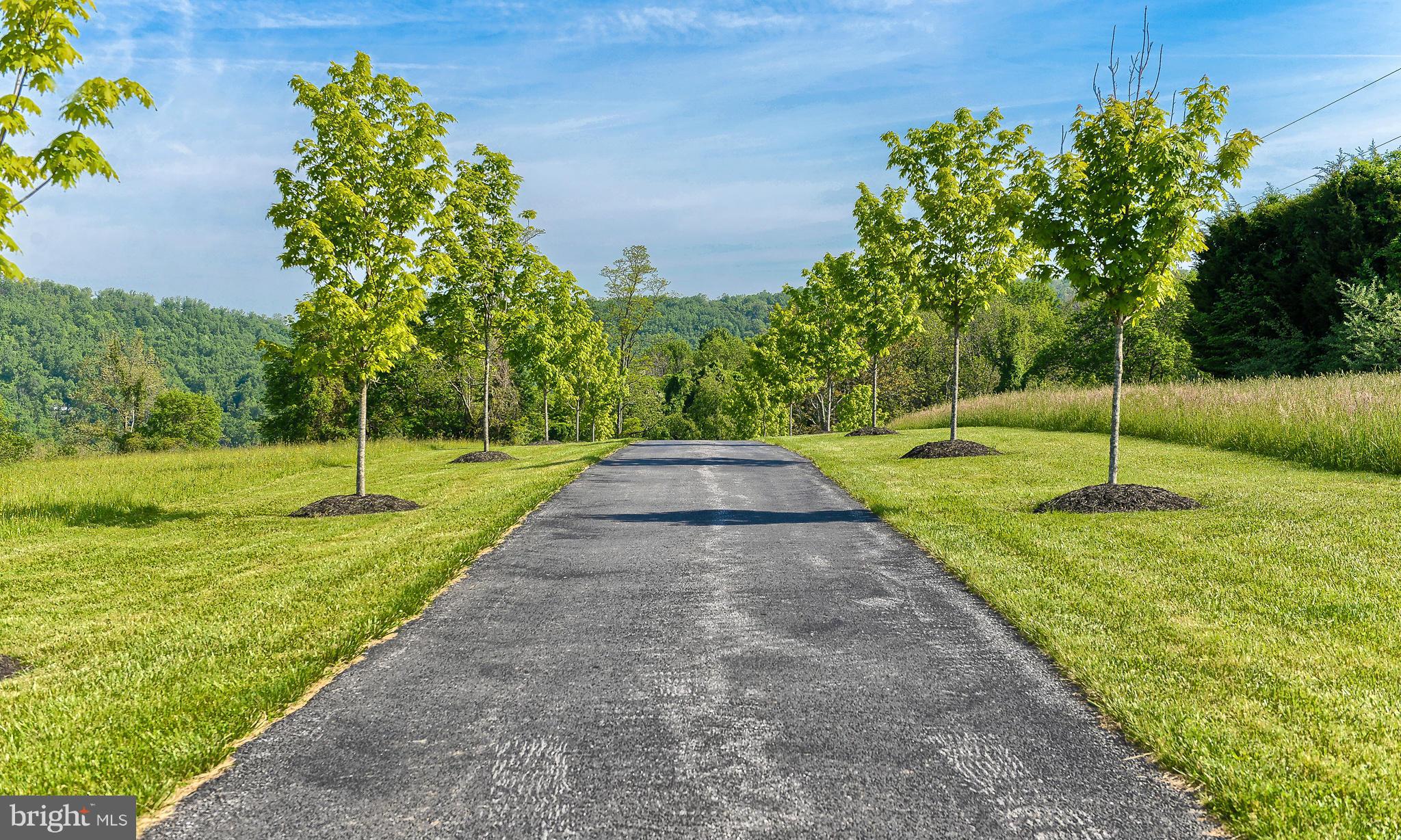 4522 Coxey Brown Road Myersville, MD 21773 - Photo 3 of 30 a view of a backyard with a garden