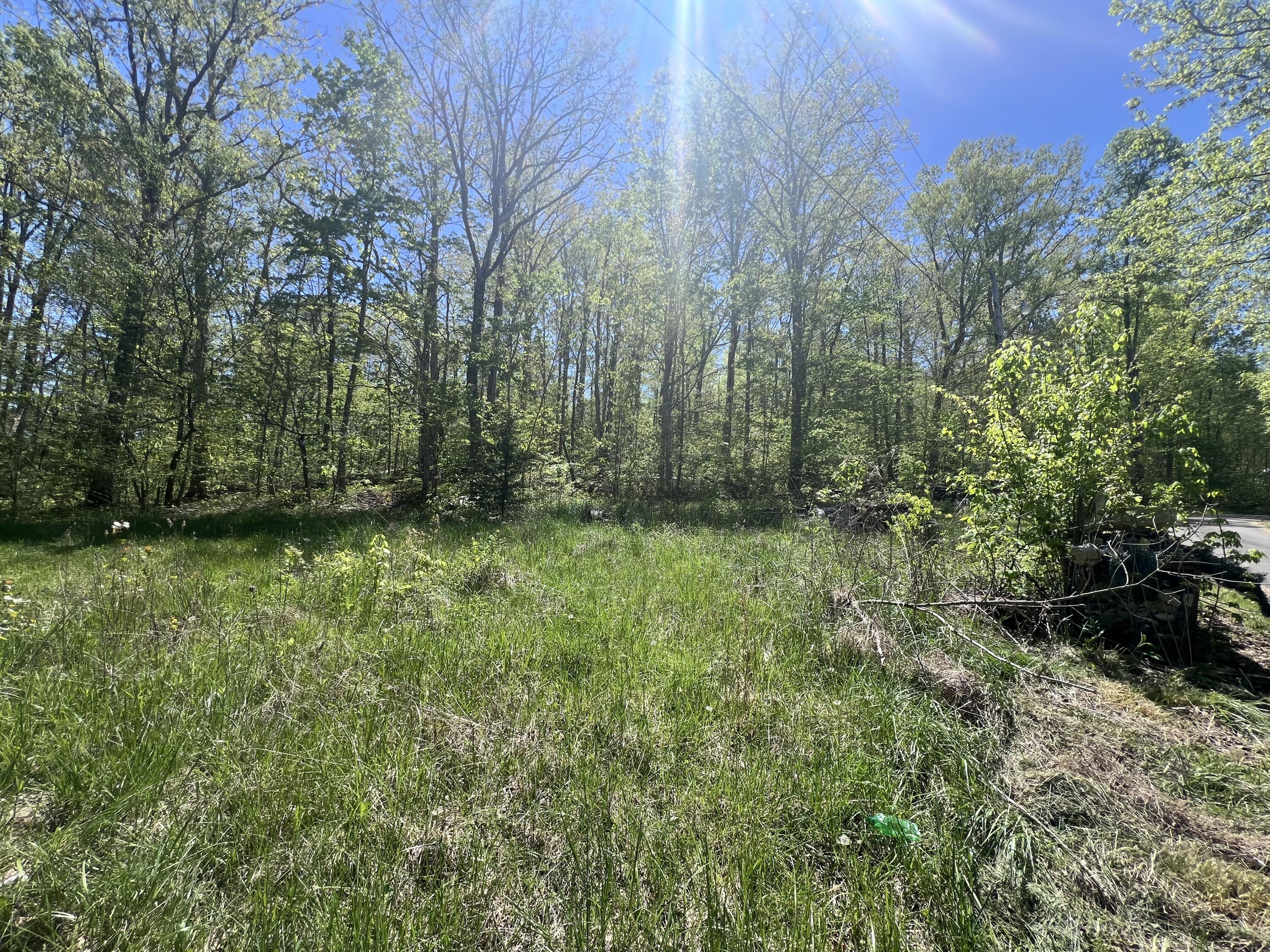 290 Mark Lowery Road Somerset, KY 42501 - Photo 25 of 38 IMG_1914