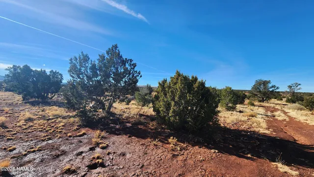 a view of a yard with wooden fence