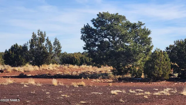 a view of a covered with snow