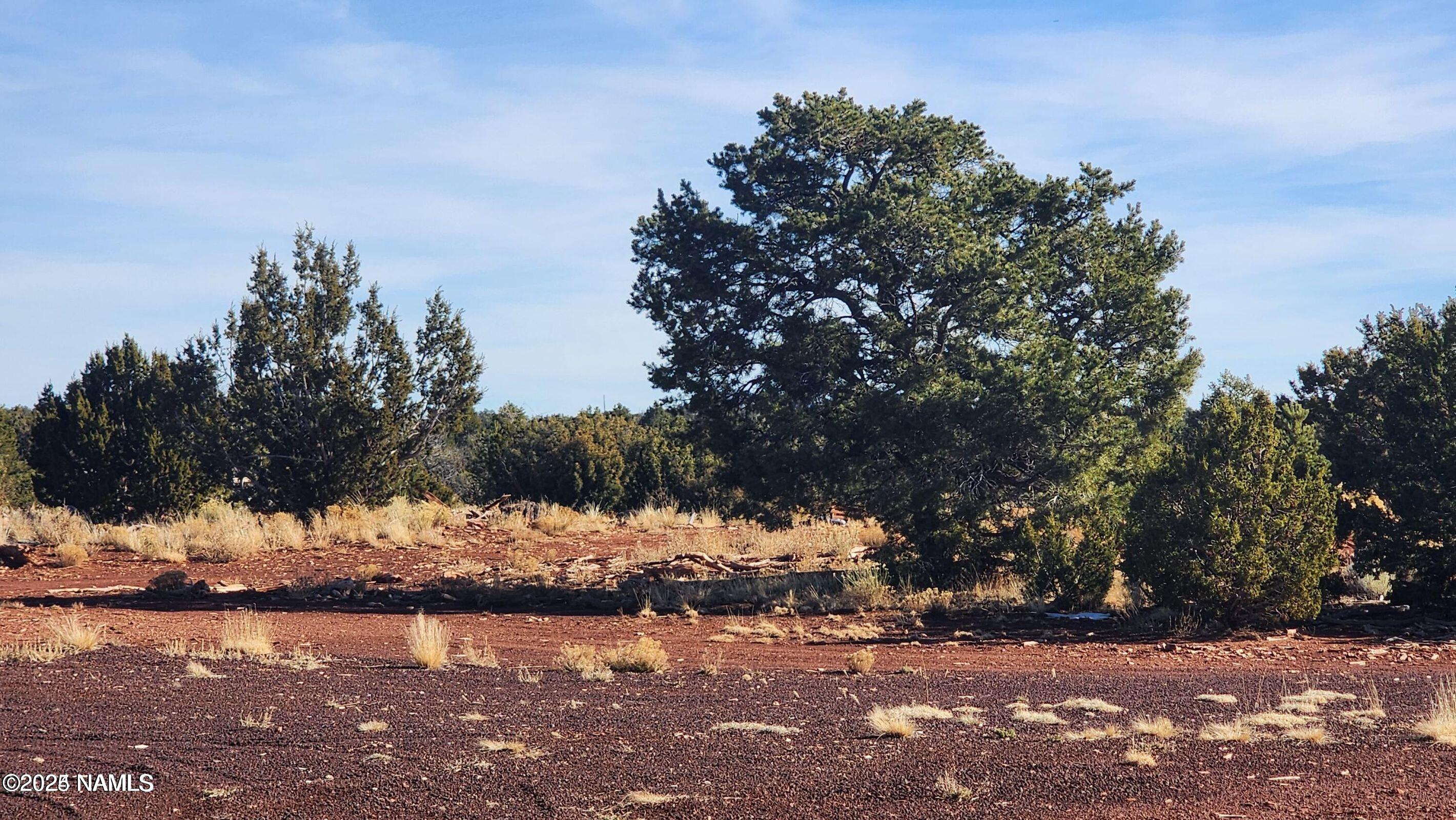 4378 Lasso Loop Williams, AZ 86046 - Photo 13 of 29