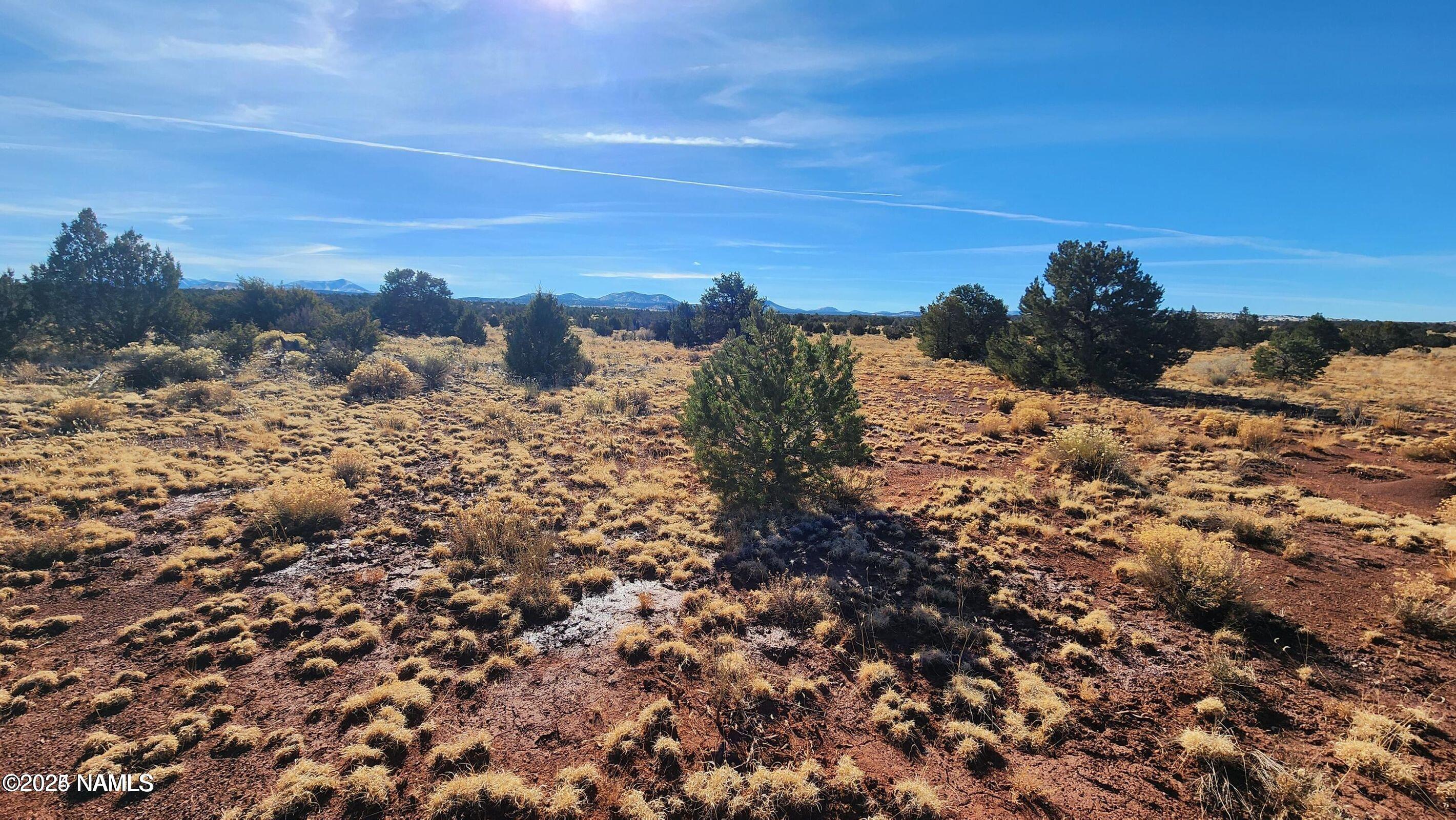 4378 Lasso Loop Williams, AZ 86046 - Photo 15 of 29 a view of a dry yard