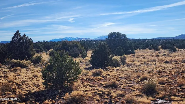 a view of a large building with a mountain in the background
