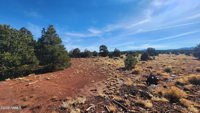 a view of an ocean beach