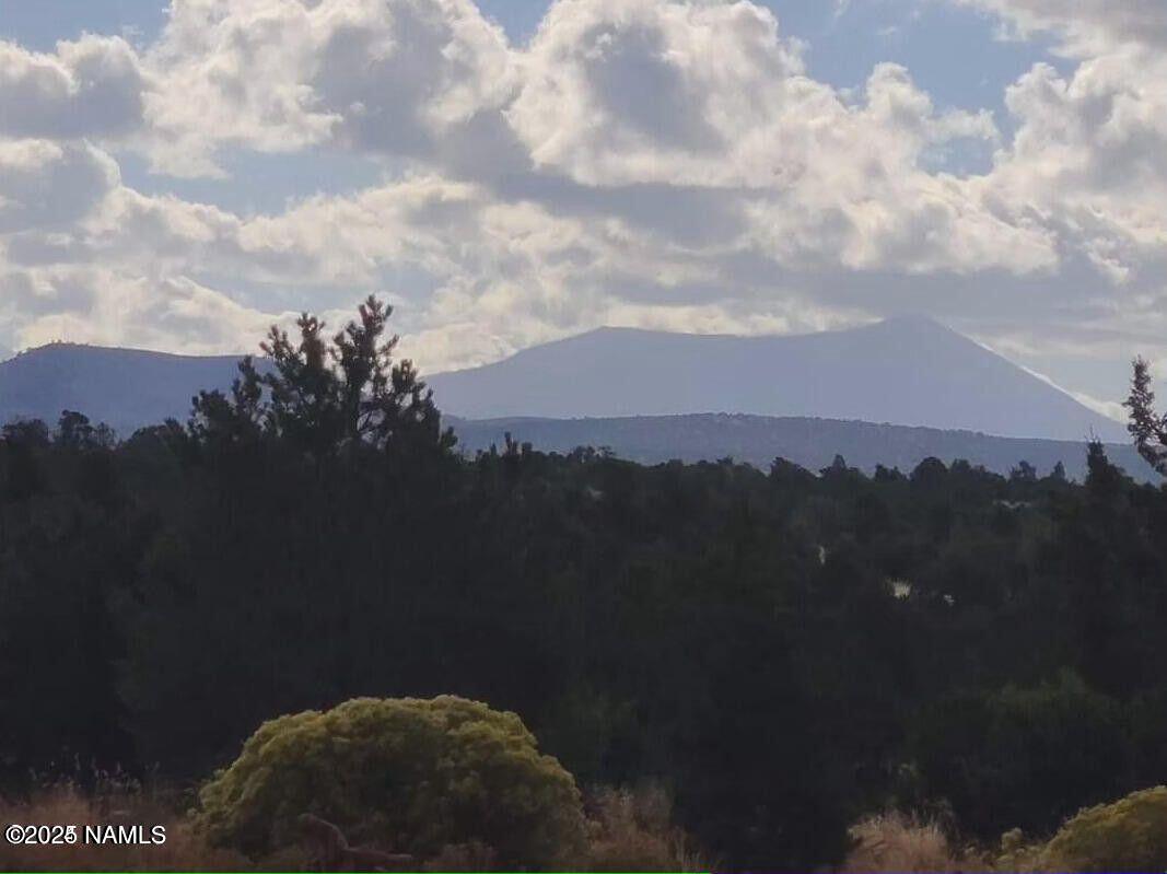 4378 Lasso Loop Williams, AZ 86046 - Photo 22 of 29 a view of a city and a lake