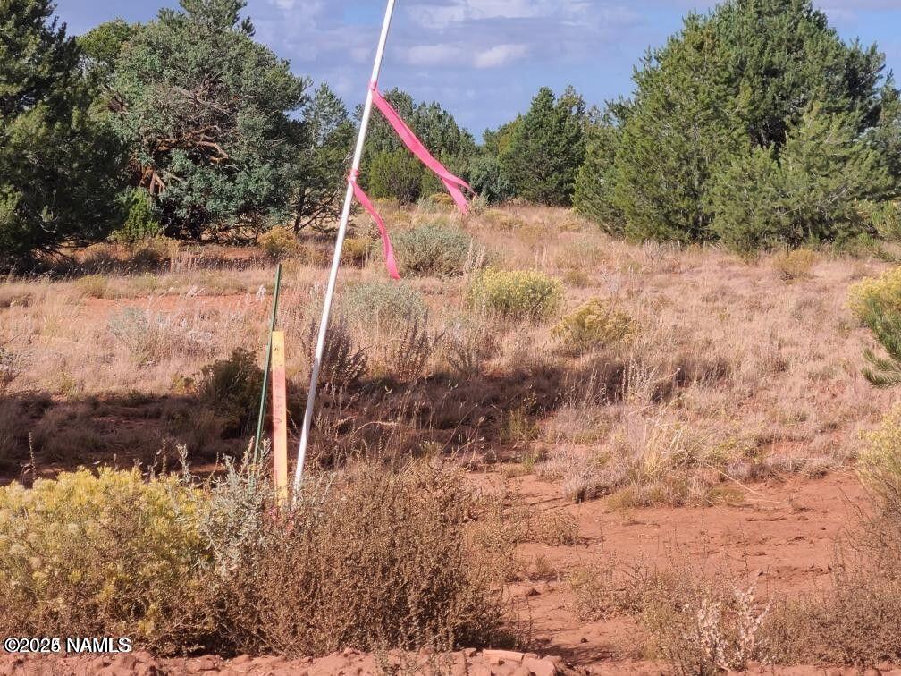 4378 Lasso Loop Williams, AZ 86046 - Photo 23 of 29 a backyard of a house with lots of green space