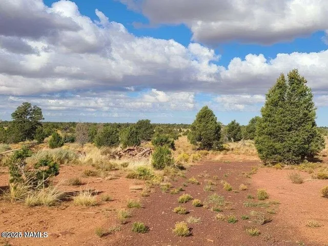 a view of a yard with a tree