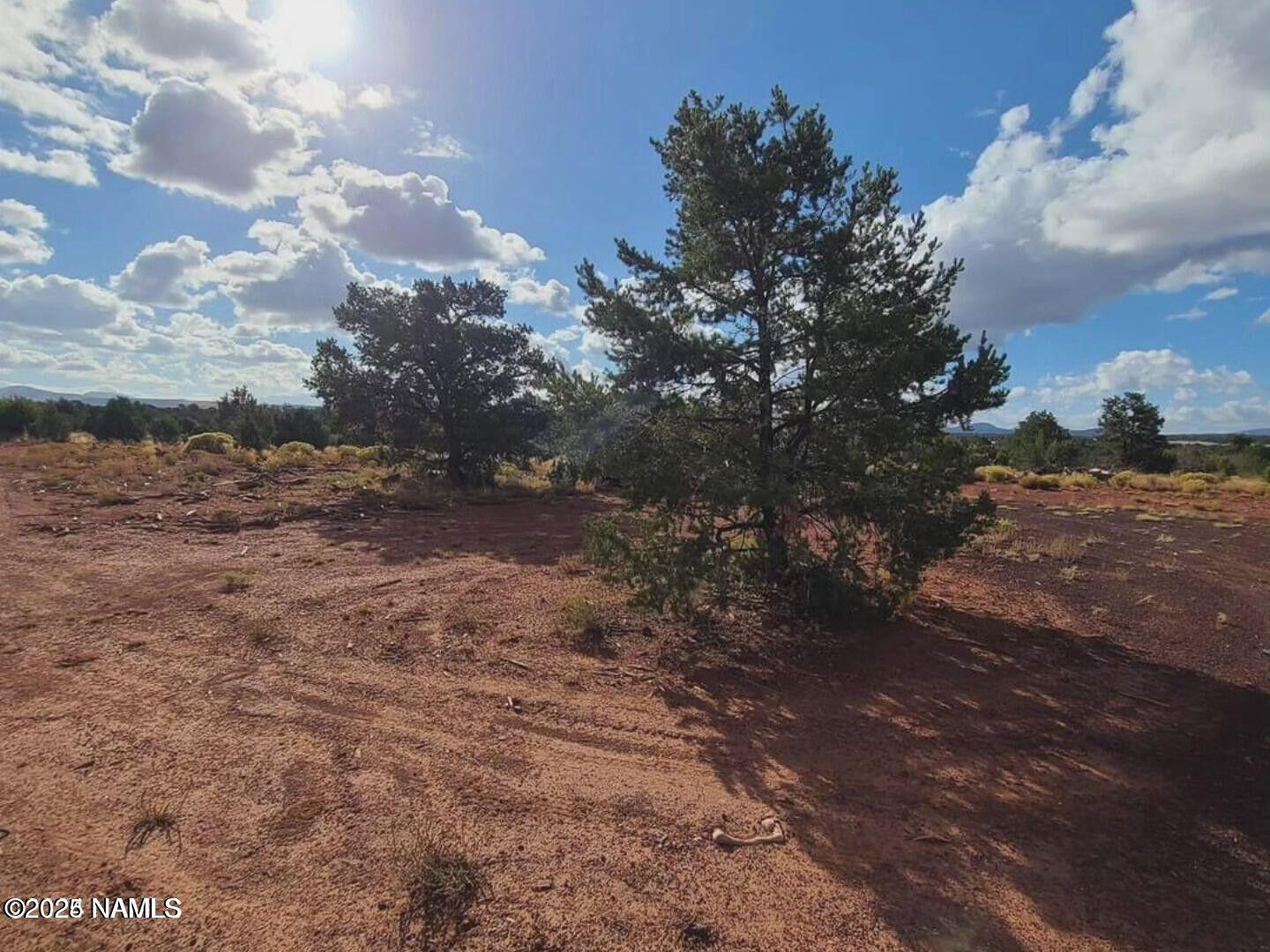 4378 Lasso Loop Williams, AZ 86046 - Photo 25 of 29 a view of a yard with a tree