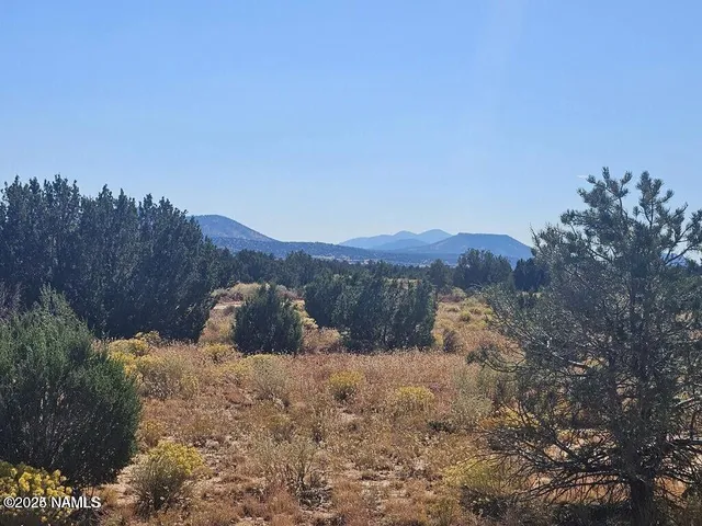 a view of a lake with a mountain in the background