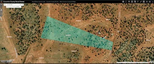 a bathroom with a shower curtain