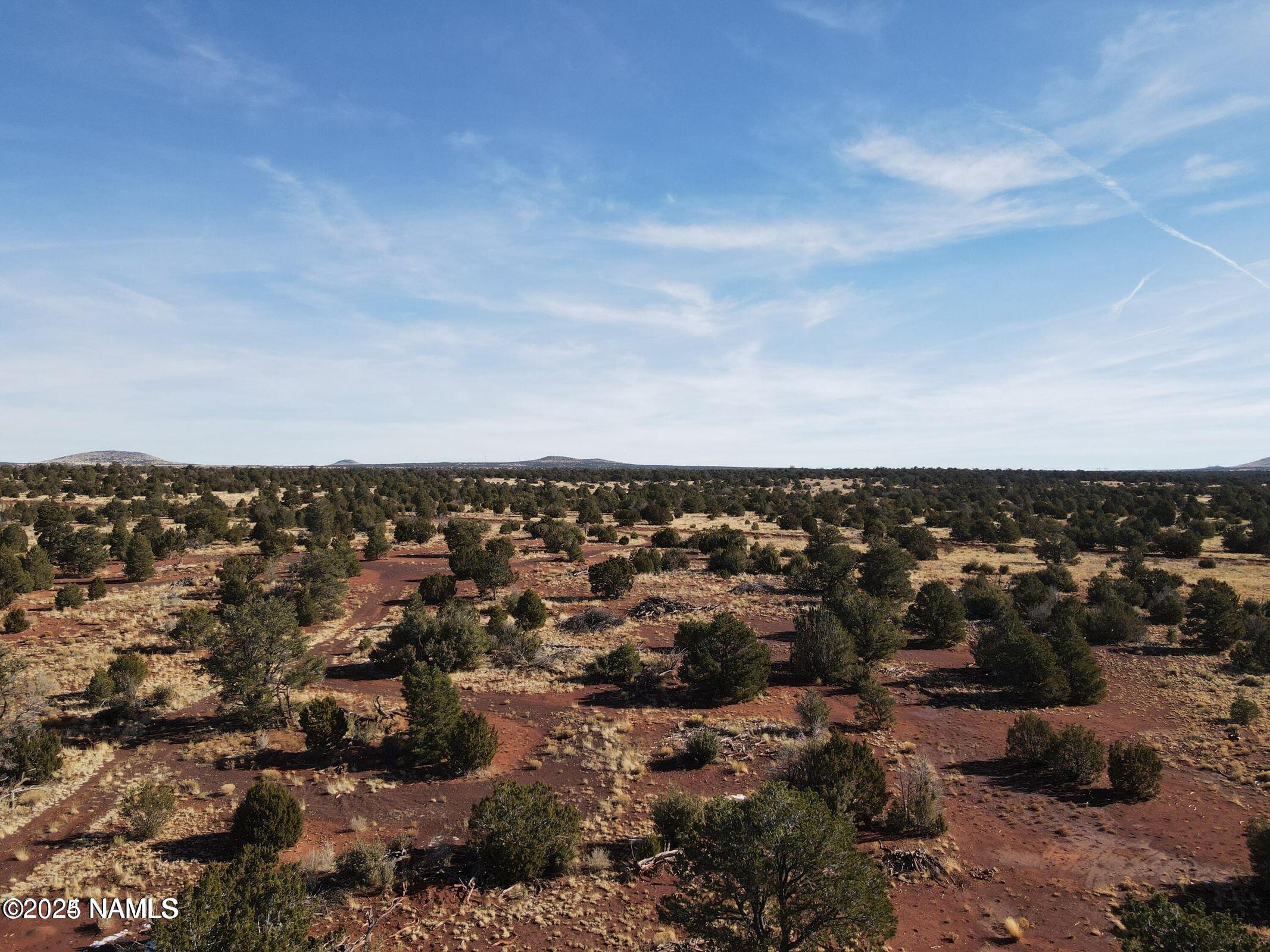 4378 Lasso Loop Williams, AZ 86046 - Photo 4 of 29 a view of a city