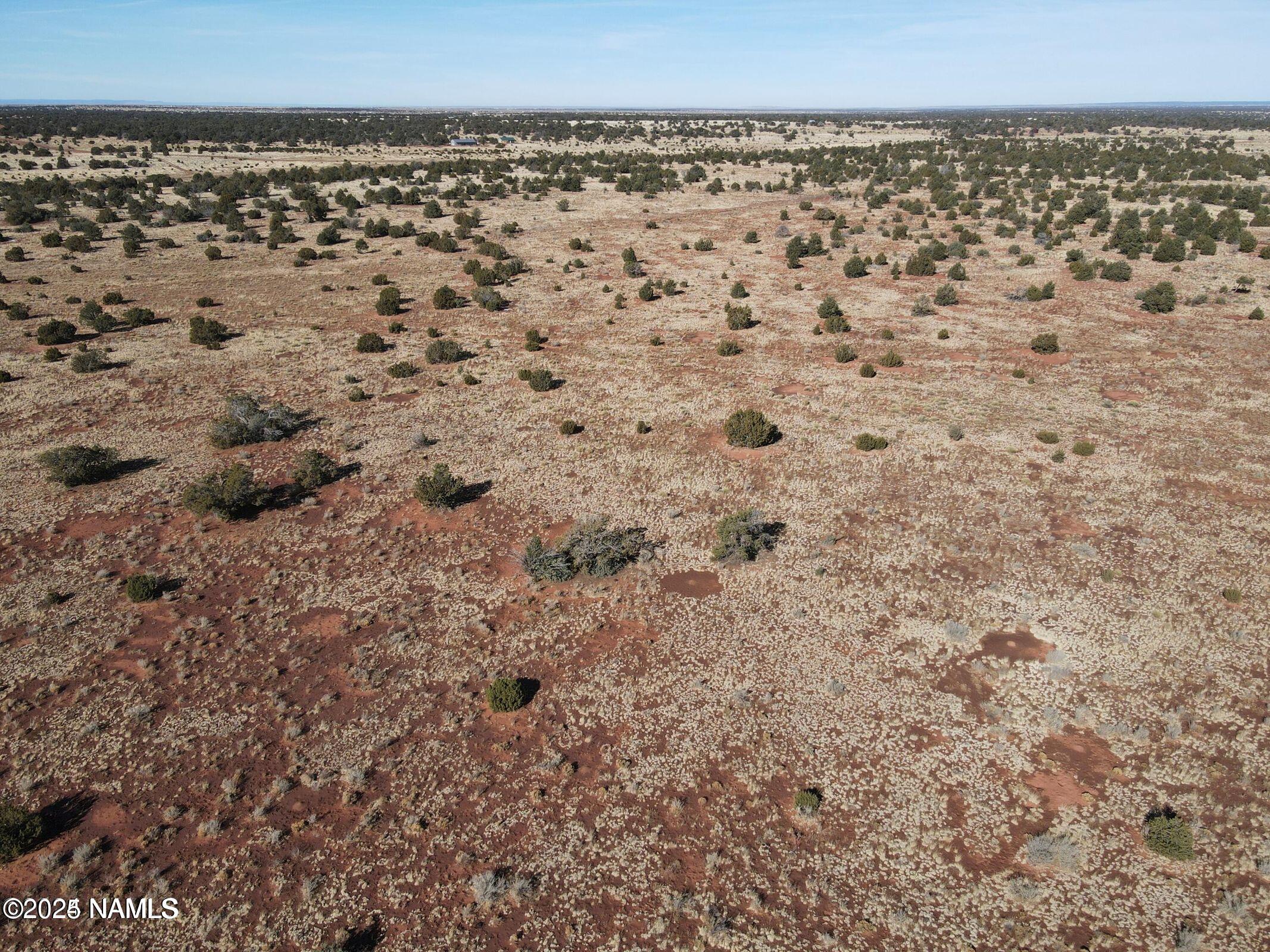4378 Lasso Loop Williams, AZ 86046 - Photo 7 of 29 a view of a dry yard