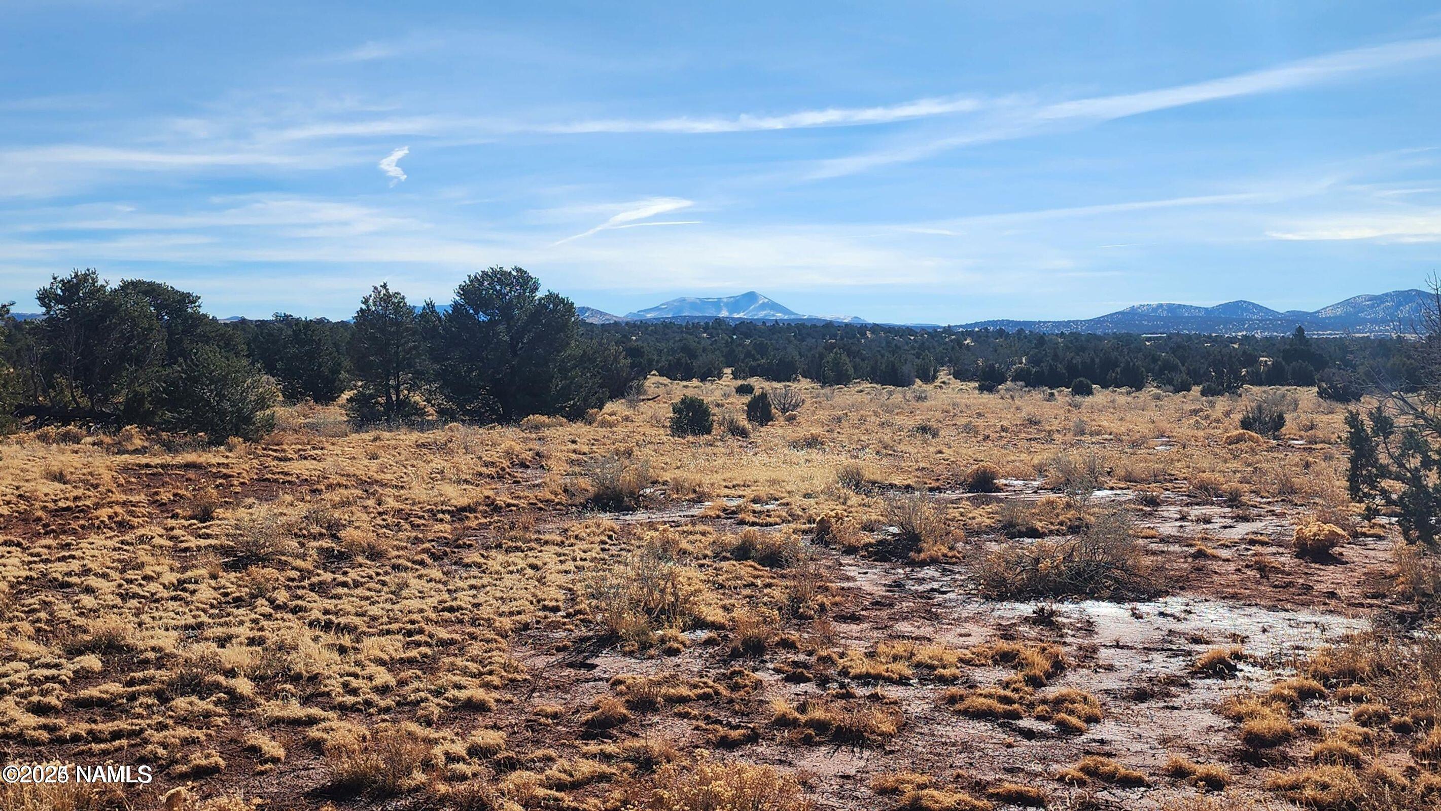 4378 Lasso Loop Williams, AZ 86046 - Photo 8 of 29 a view of a lake with mountains in the background