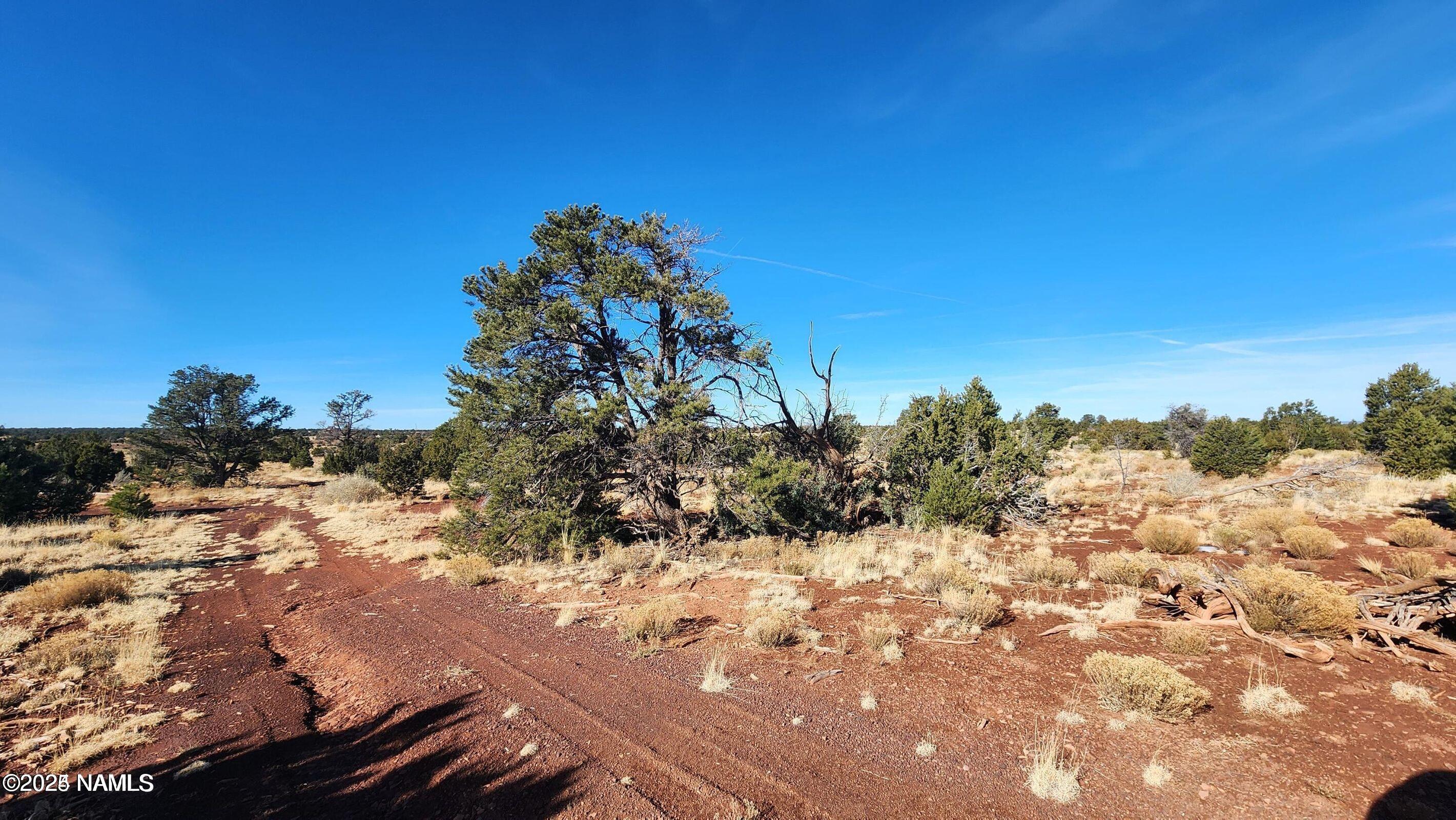 4378 Lasso Loop Williams, AZ 86046 - Photo 10 of 29 a view of a covered with snow on the road