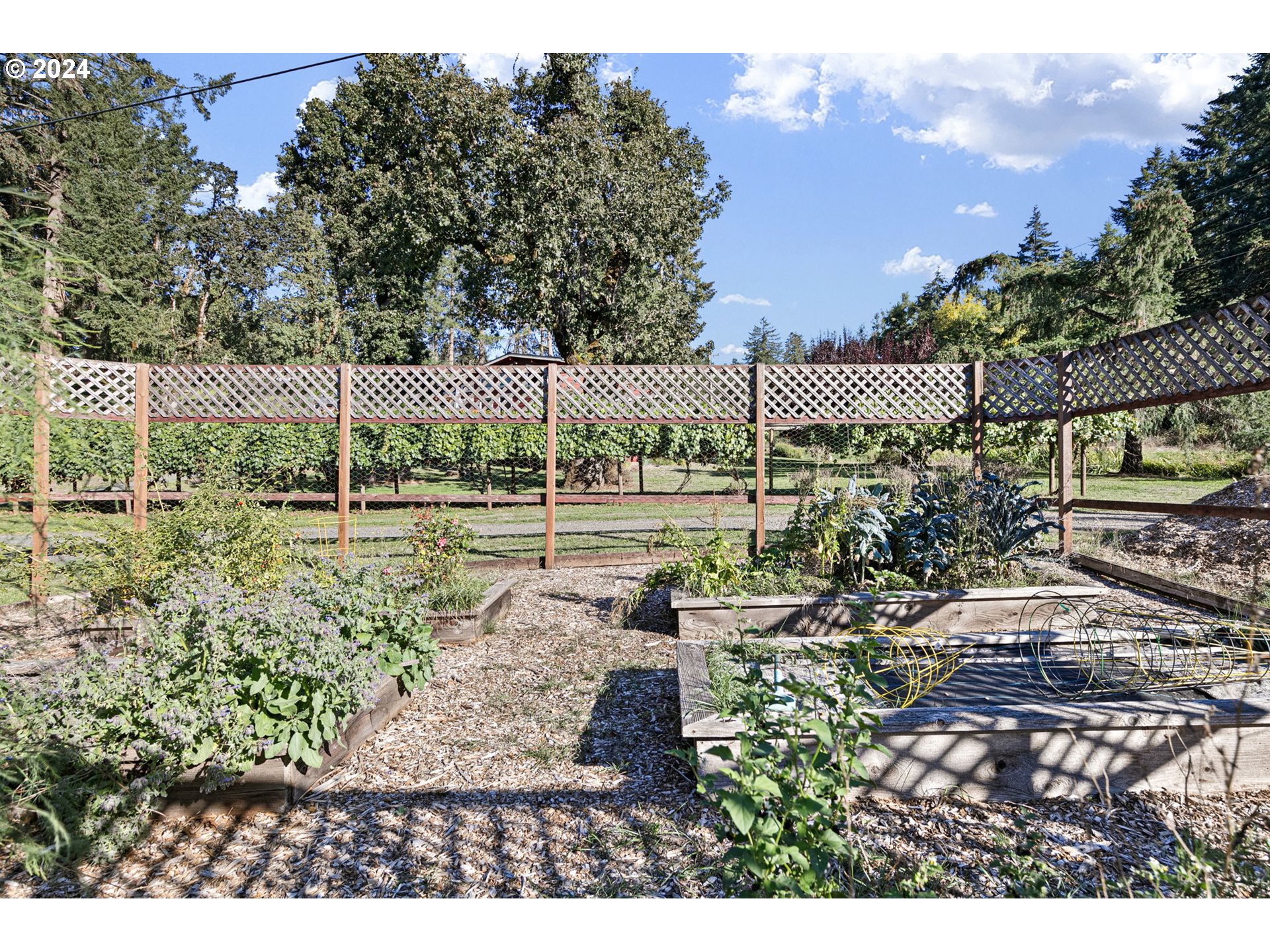 37797 Worth Road Springfield, OR 97478 - Photo 42 of 47