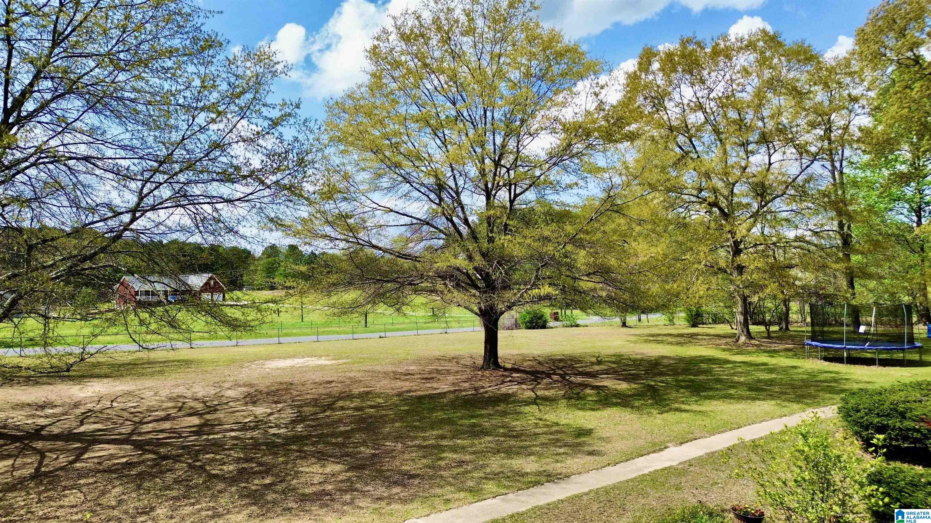 1740 Mt View Road Hayden, AL 35079 - Photo 14 of 71