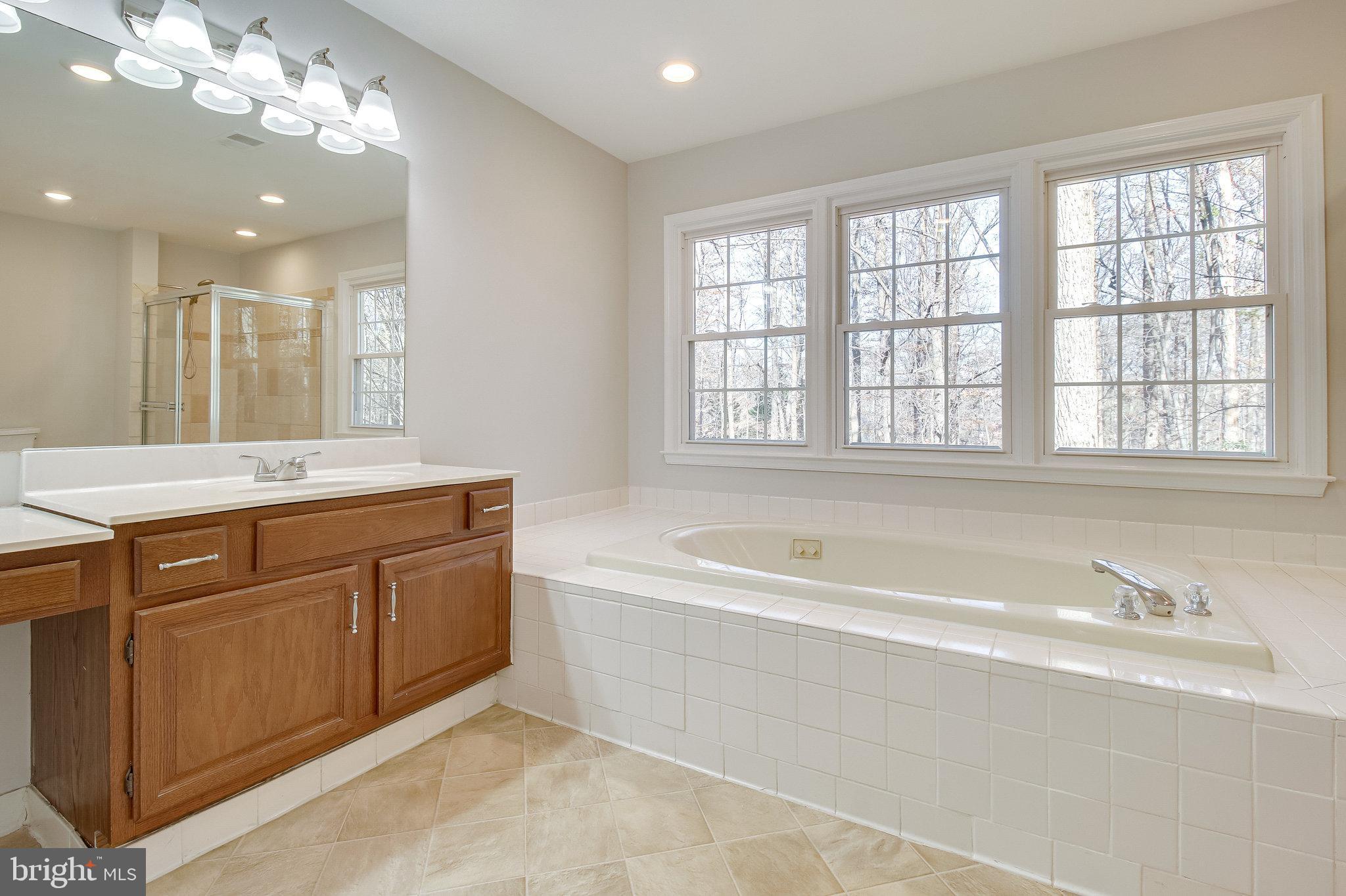9412 Eagle Trace Fairfax Station, VA 22039 - Photo 37 of 89 Primary Bathroom
