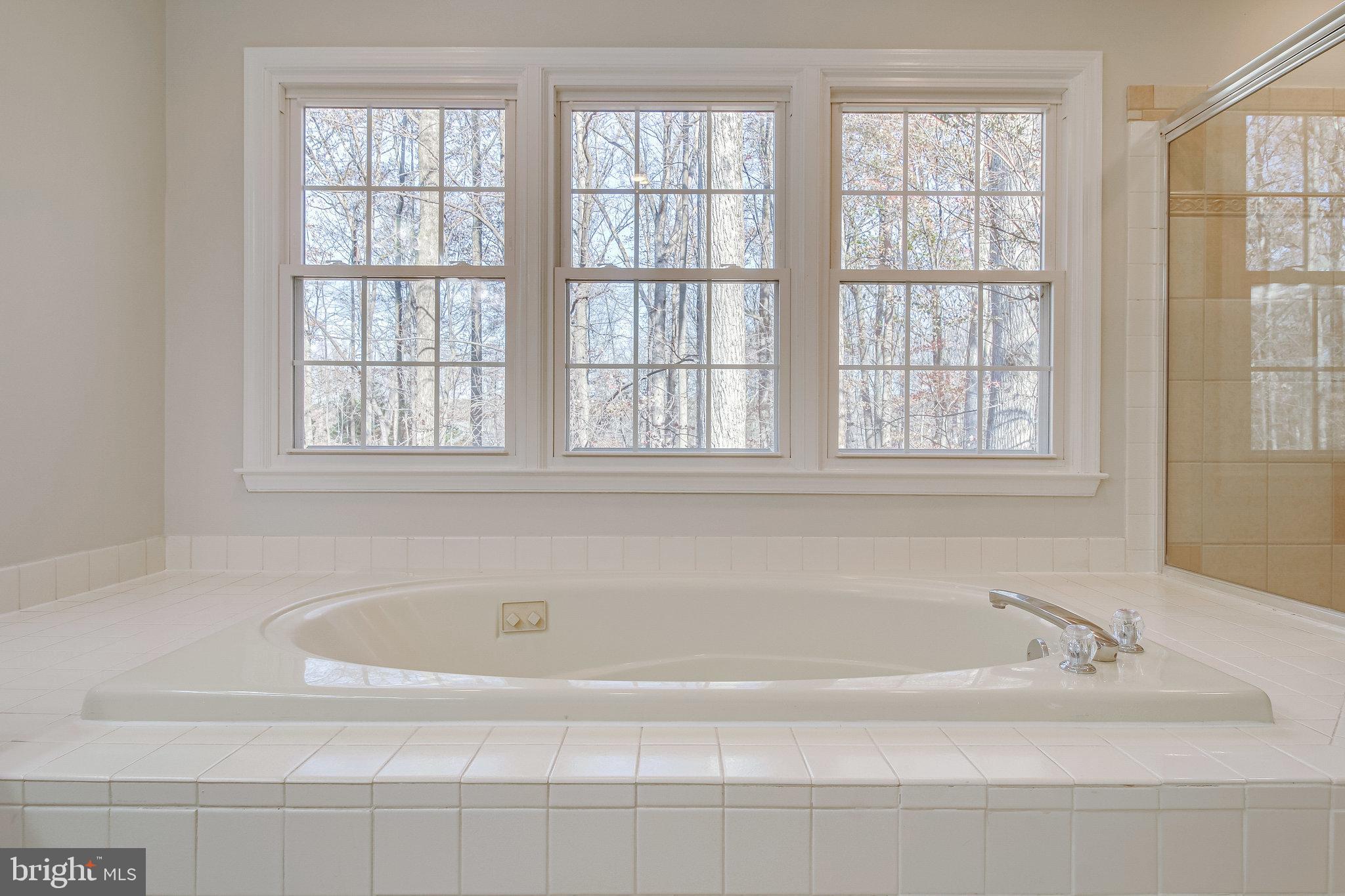 9412 Eagle Trace Fairfax Station, VA 22039 - Photo 38 of 89 Primary Bathroom