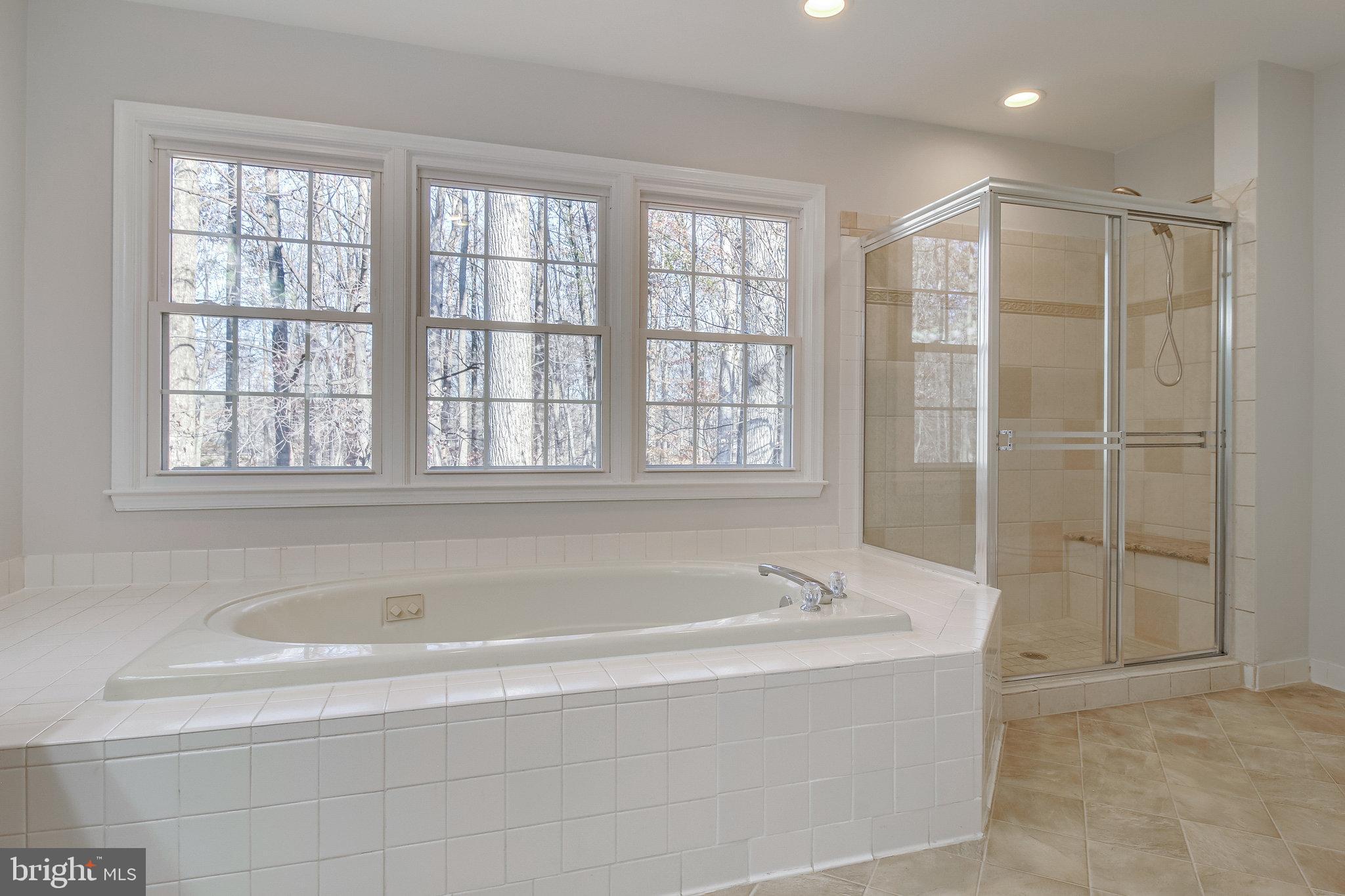 9412 Eagle Trace Fairfax Station, VA 22039 - Photo 39 of 89 Primary Bathroom