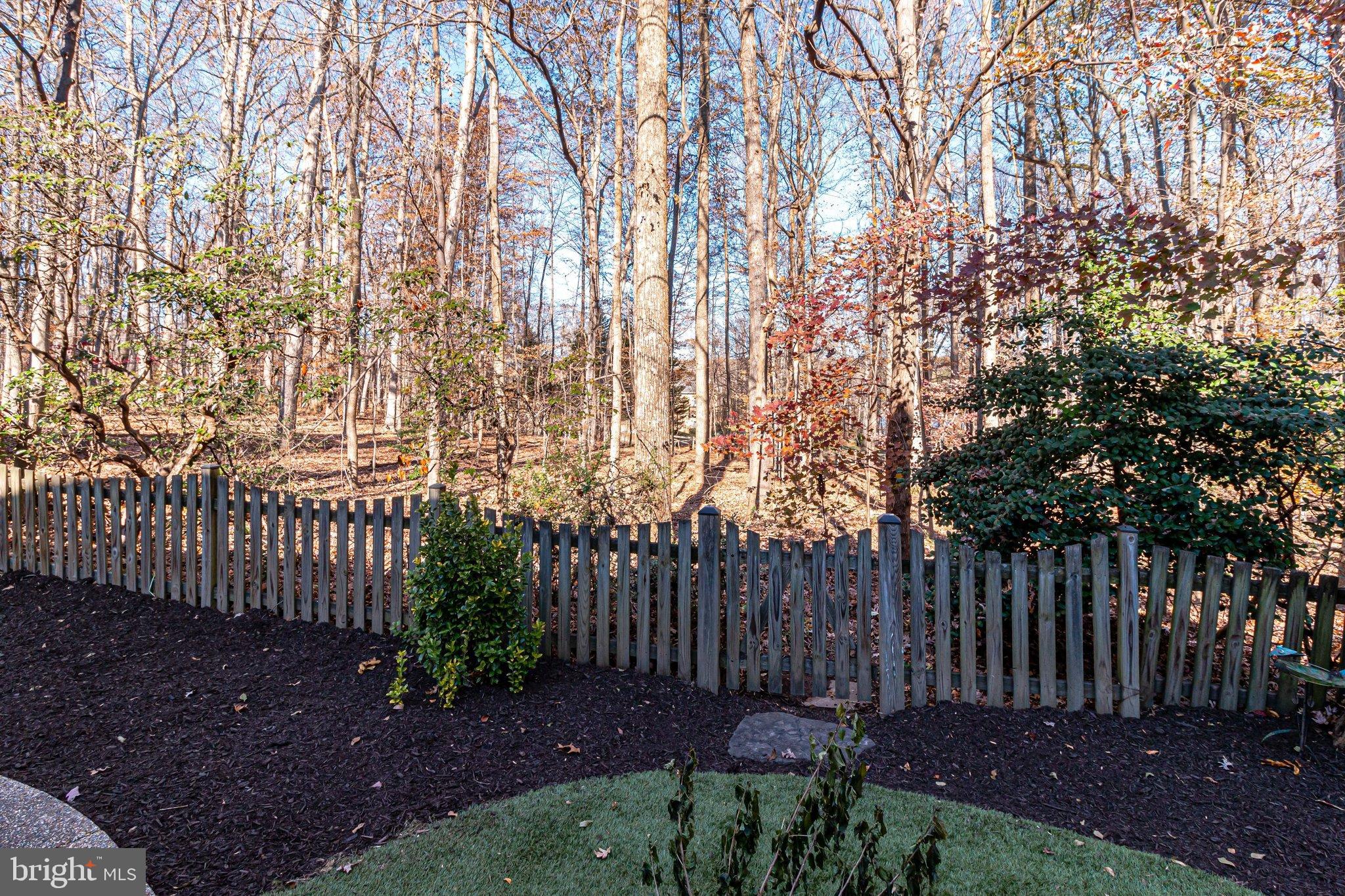 9412 Eagle Trace Fairfax Station, VA 22039 - Photo 86 of 89 Backyard