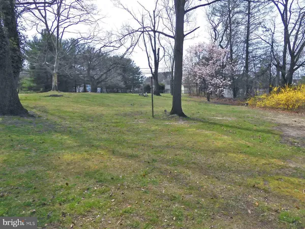 a view of a field with trees